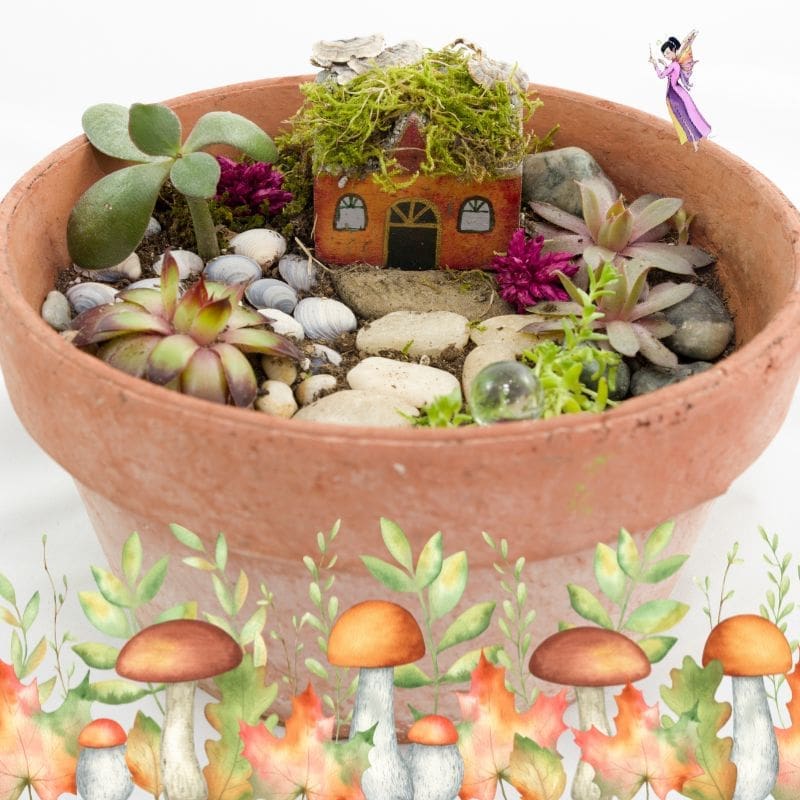Join our Fairy Garden Workshop and create a whimsical fairy garden in a terracotta pot with succulents, a tiny house, rocks, and decorative mushrooms.